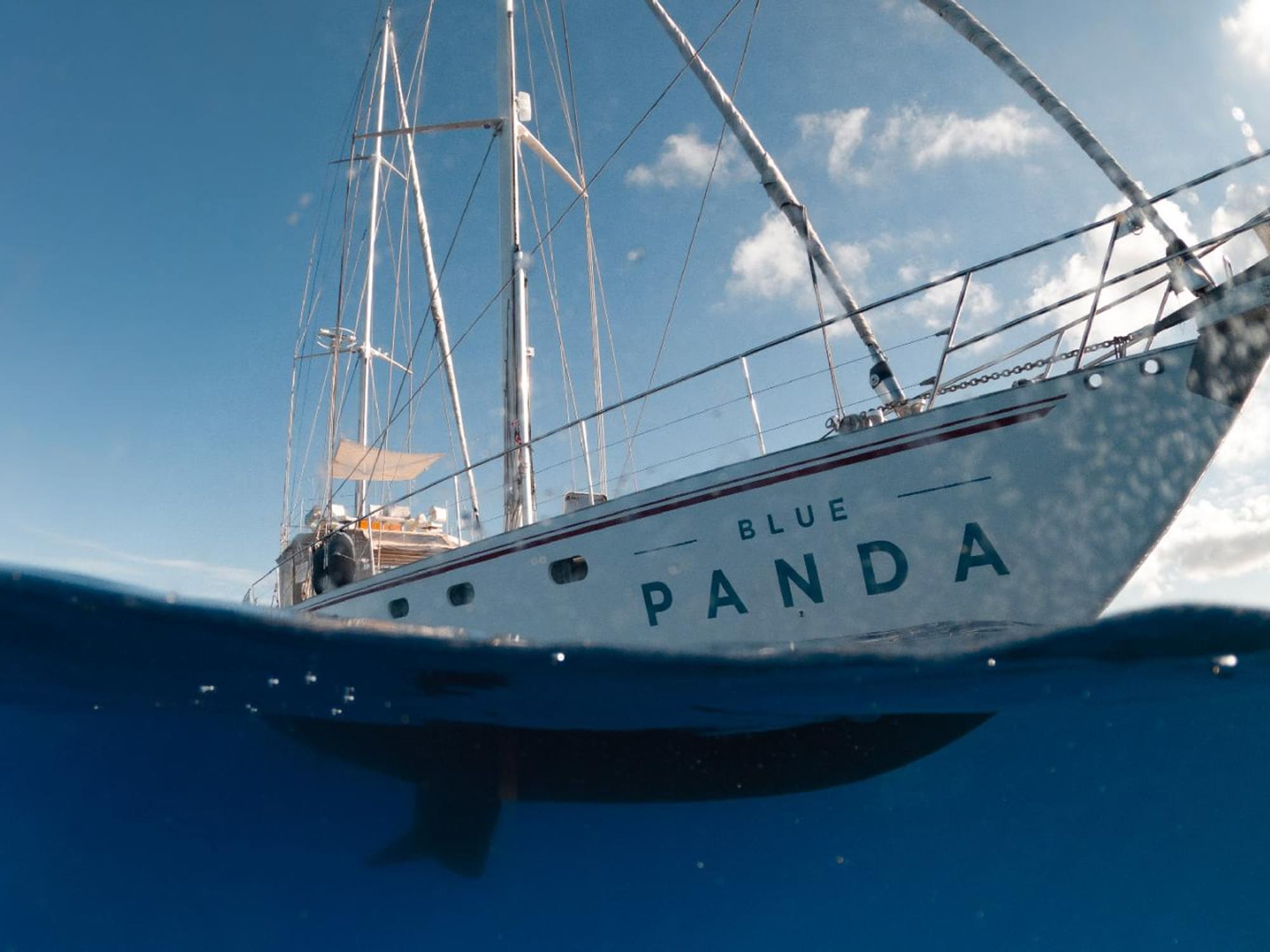 PJ2 - Blue-Panda-WWF 1