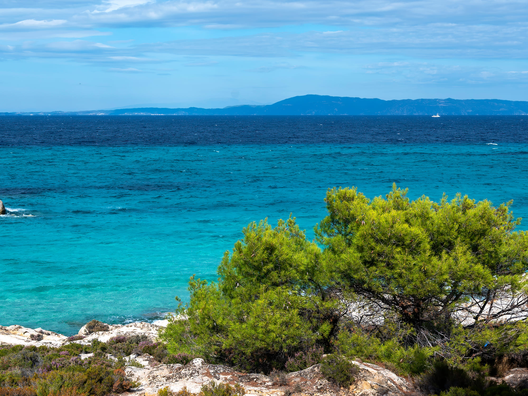 PJ3 - cote-de-la-mer-egee-avec-verdure-autour-rochers-buissons-et-arbres-eau-bleue-avec-des-vagues-grece 1