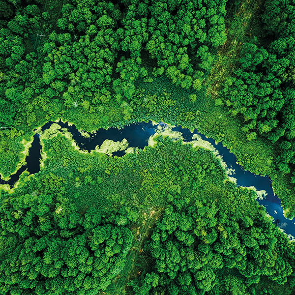 ecologie-600x600