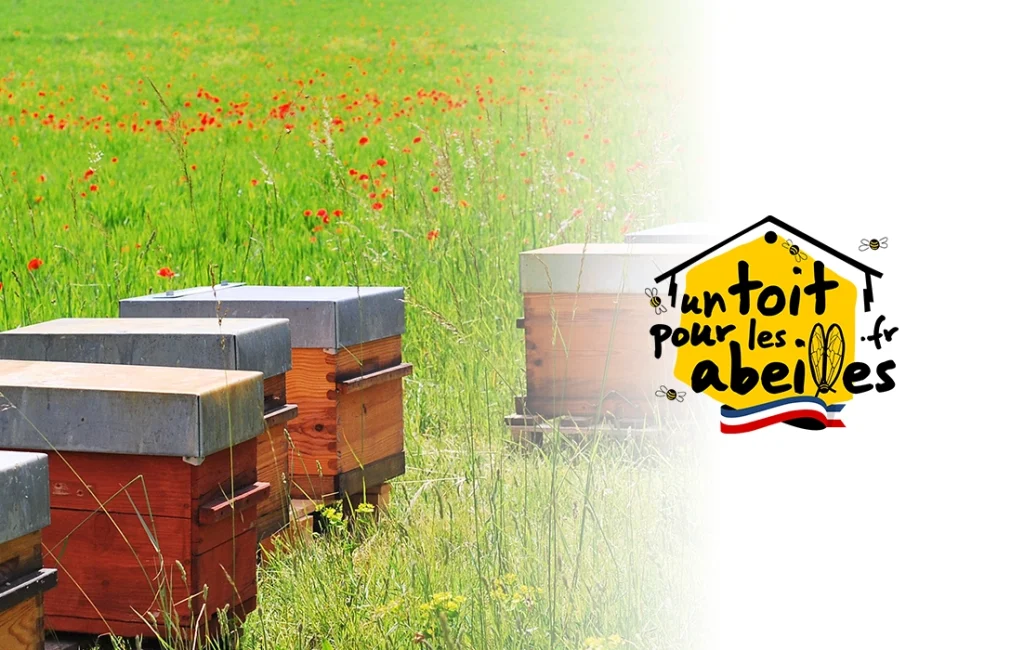 triangle-interim-entreprise-un-toit-pour-les-abeilles